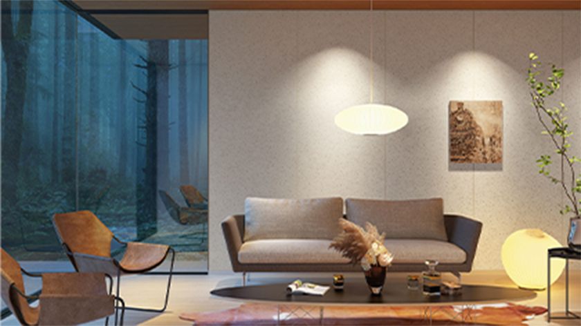 A big city couple agrees on a contemporary interior