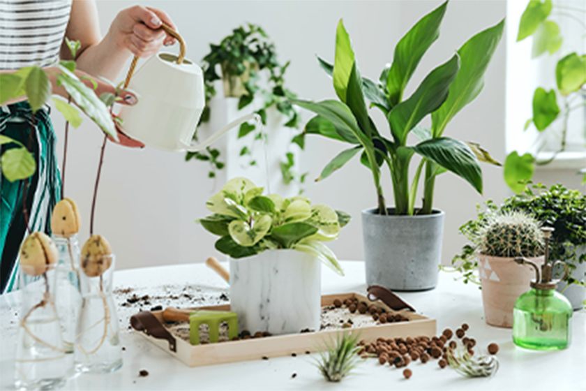 Happy days in a natural, comfortable space