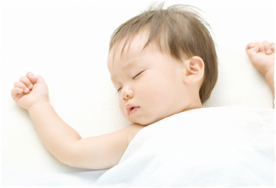 環境にやさしい