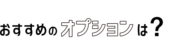 09 おすすめのオプション類は?